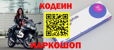 индика Боровичи