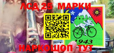 индика Боровичи