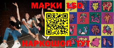 индика Боровичи