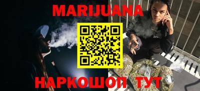 индика Боровичи