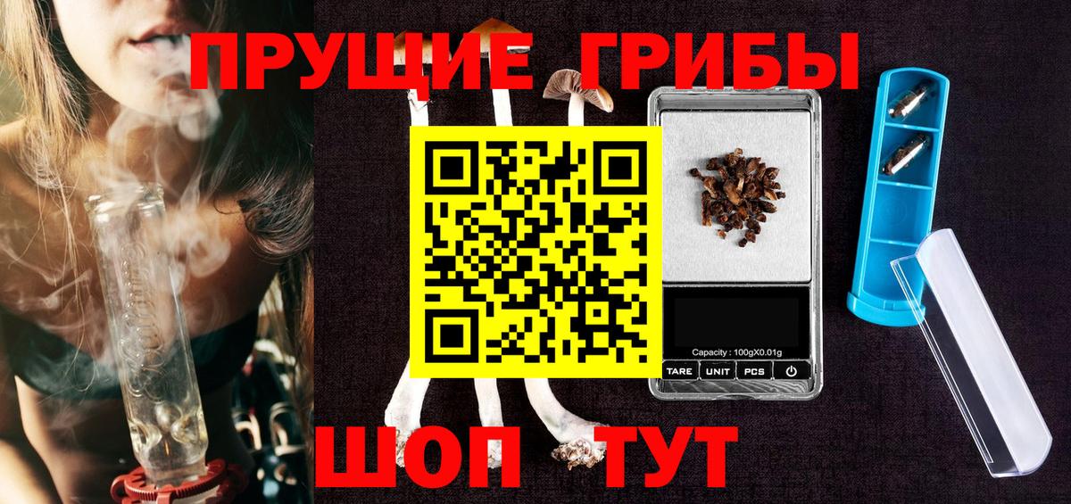 Губкин  Псилоцибиновые грибы Psilocybine cubensis  Вход с VPN  Галлюциногенные грибы ЛСД 