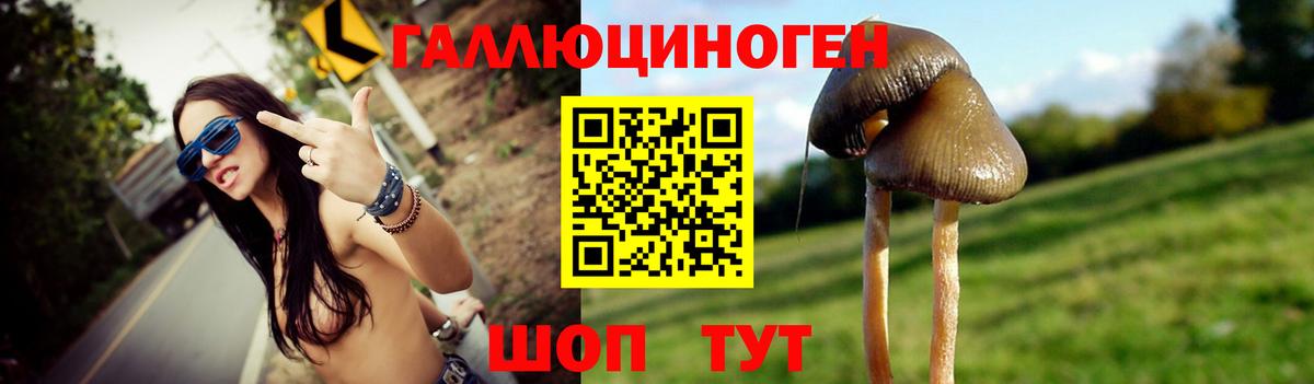 Псилоцибиновые грибы Cubensis Губкин